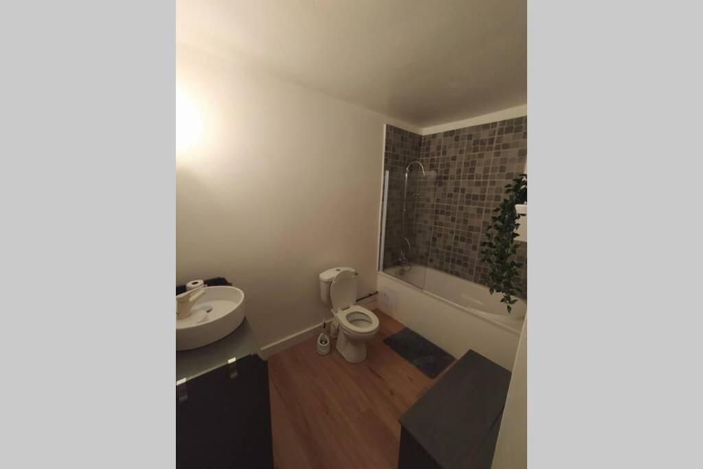 Appartement T2 Cosy Et Chaleureux - 40Mn De Rennes Plumaugat 외부 사진